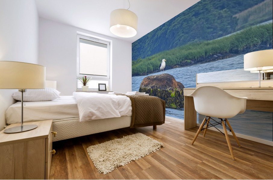 Sea GullHDR Mural print