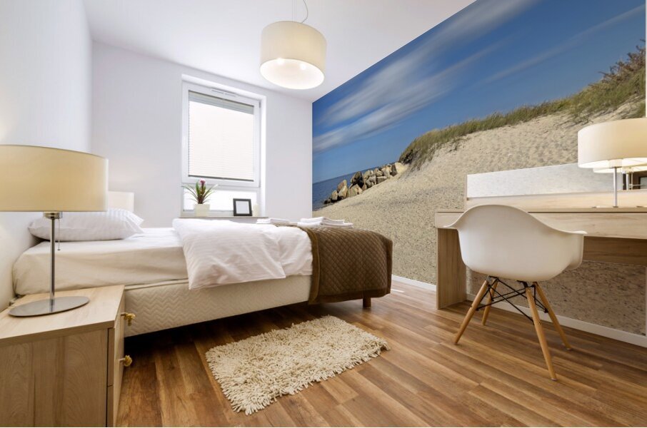 Tashmoo Beach Mural print