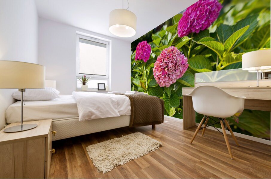 Pink Hydrangea Mural print