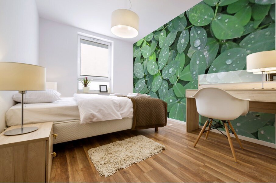 Rain Droplets Mural print