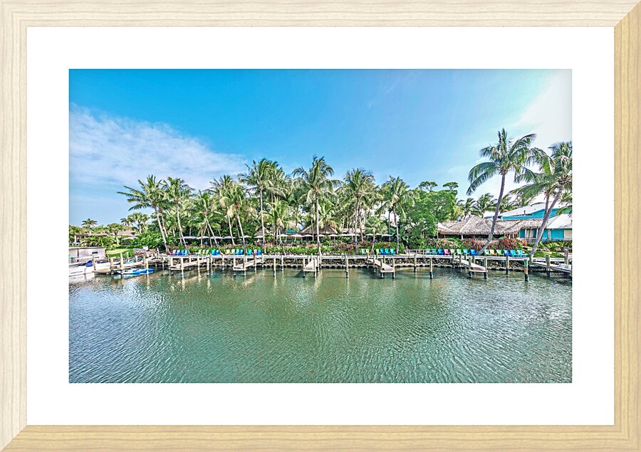 Guanabanas Picture Frame print