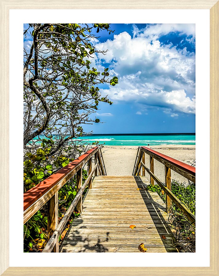 Beach Access  58 Picture Frame print