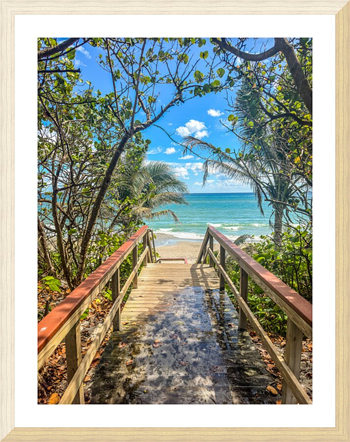 Beach Access   34 Picture Frame print