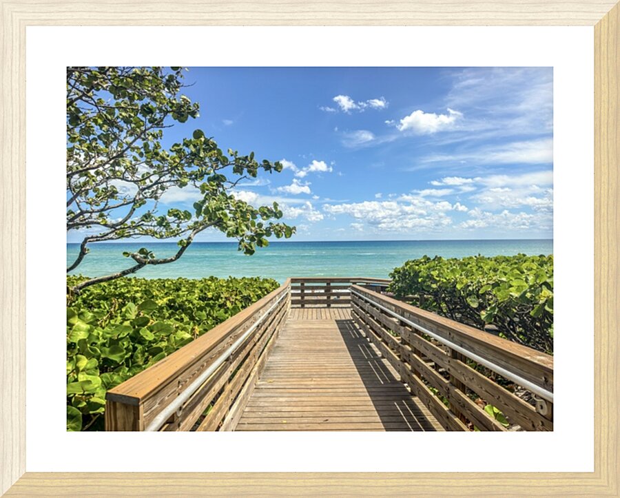 Beach Access  31 Picture Frame print