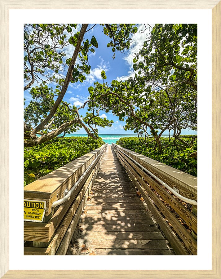 Beach Access   49 Picture Frame print