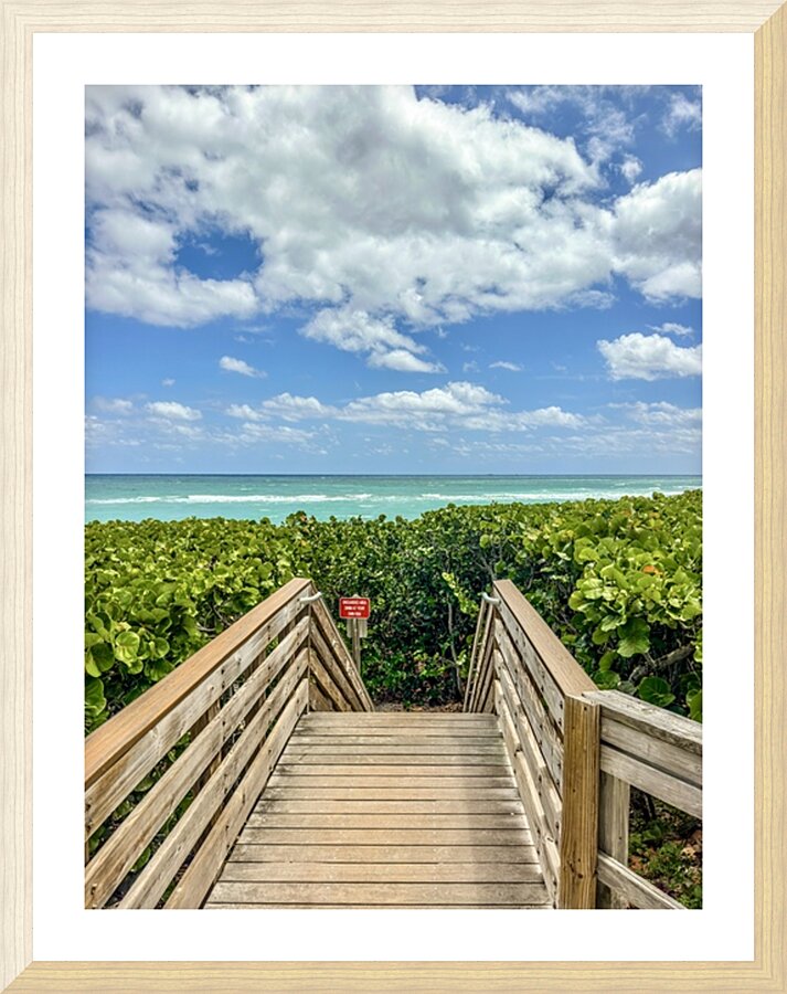 Beach Access  51 Picture Frame print