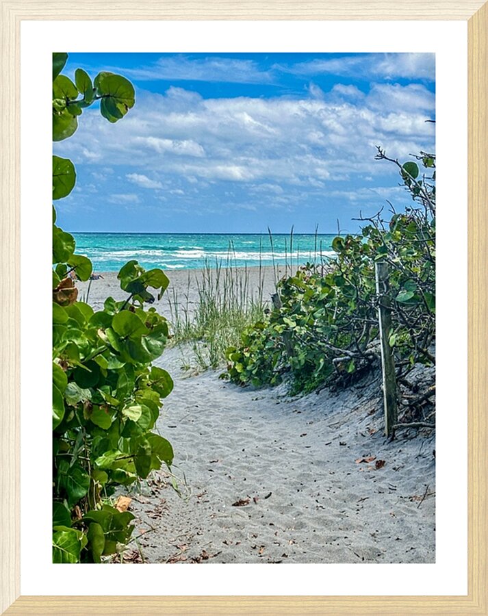 Beach Access   61 Picture Frame print