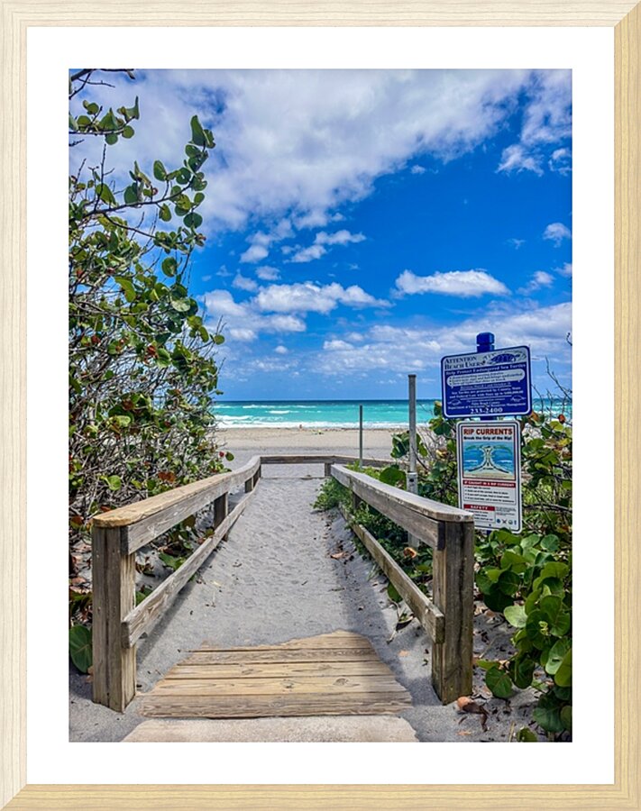 Beach Access   64 Picture Frame print