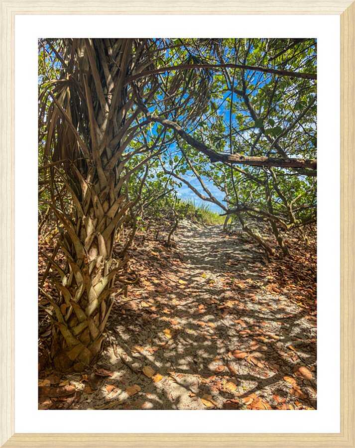 Beach Access   66 Picture Frame print