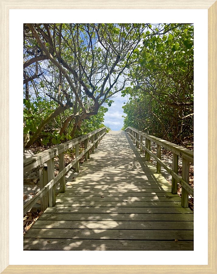 Beach Access   67 Picture Frame print