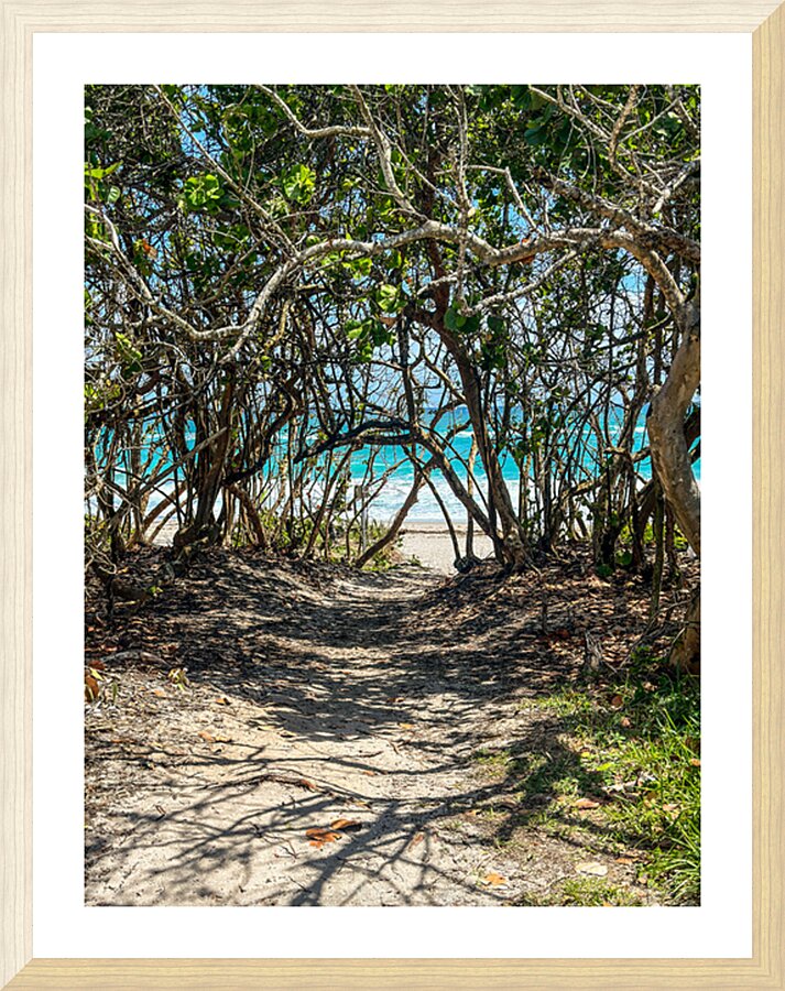 Beach Access   42 Picture Frame print