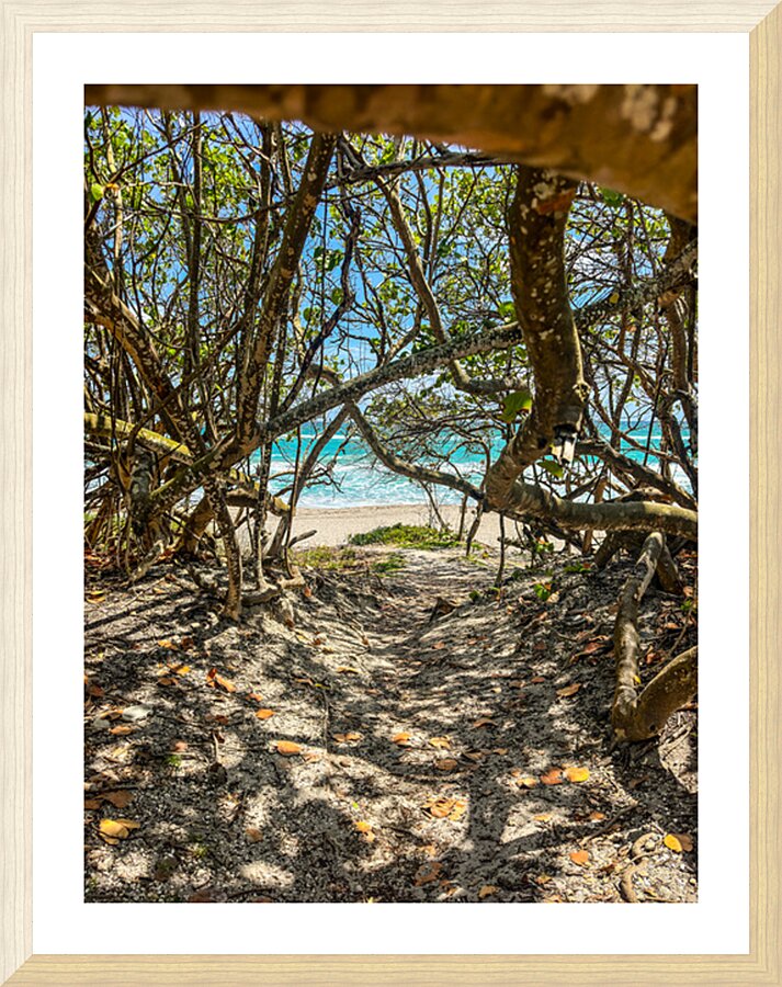 Beach Access   39 Picture Frame print