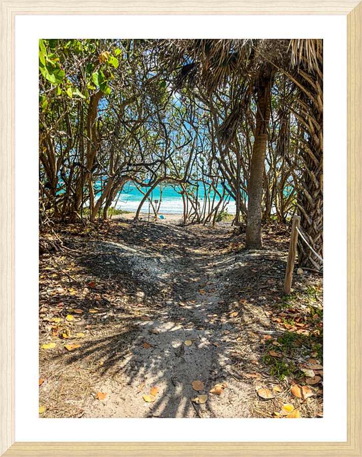 Beach Access   41 Picture Frame print