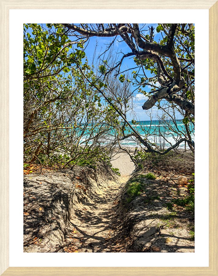 Beach Access   36 Picture Frame print