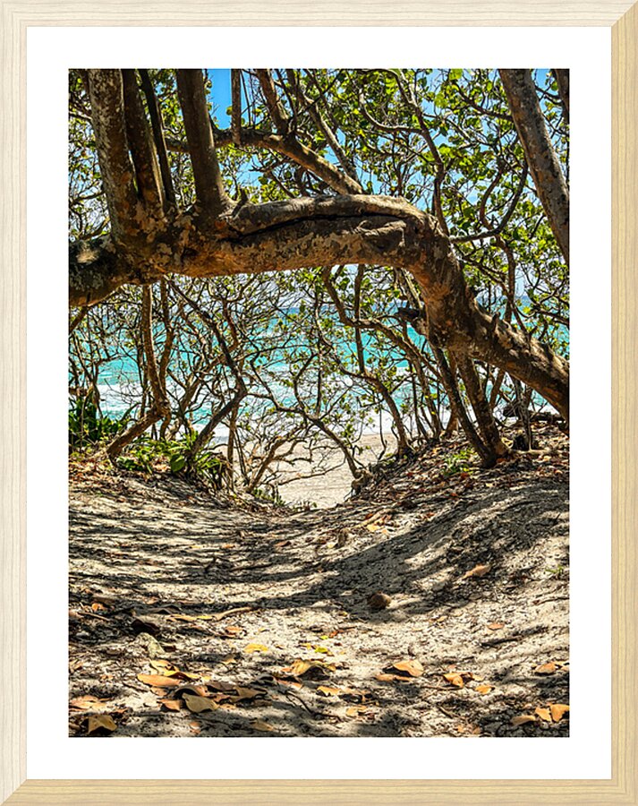 Beach Access   37 Picture Frame print