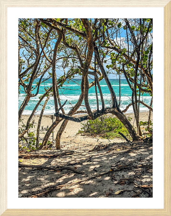 Beach Access   38 Picture Frame print