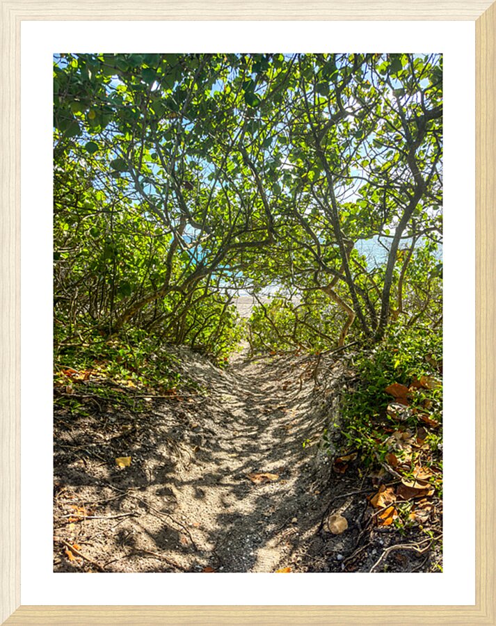 Beach Access   34 Picture Frame print