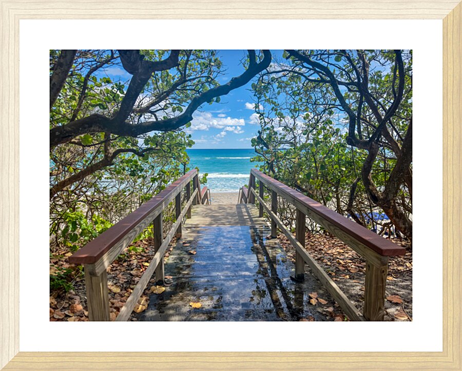 Beach Access   35 Picture Frame print