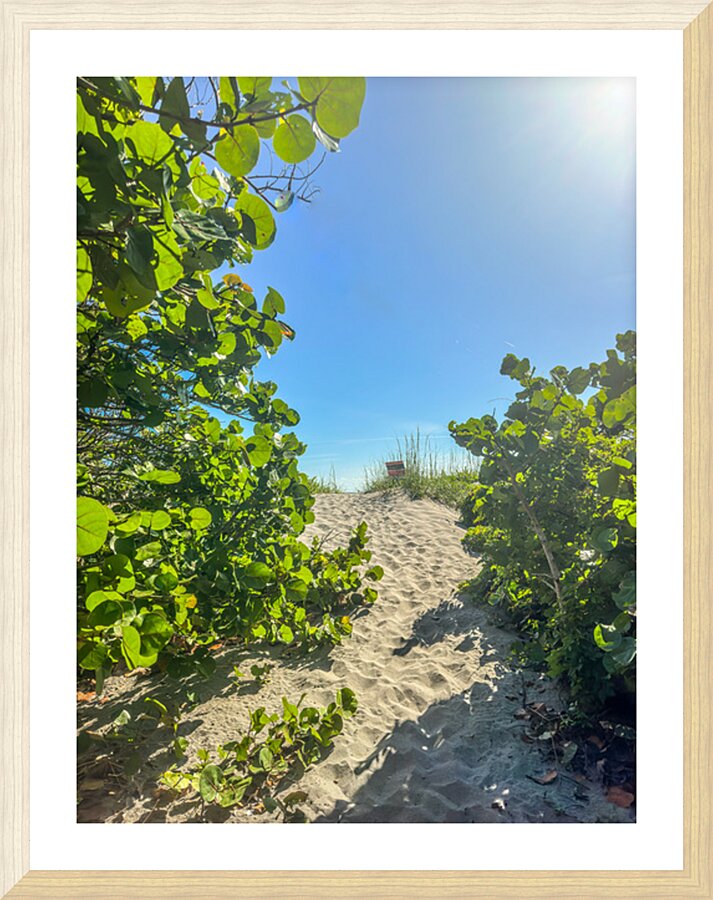 Beach Access   71 Picture Frame print