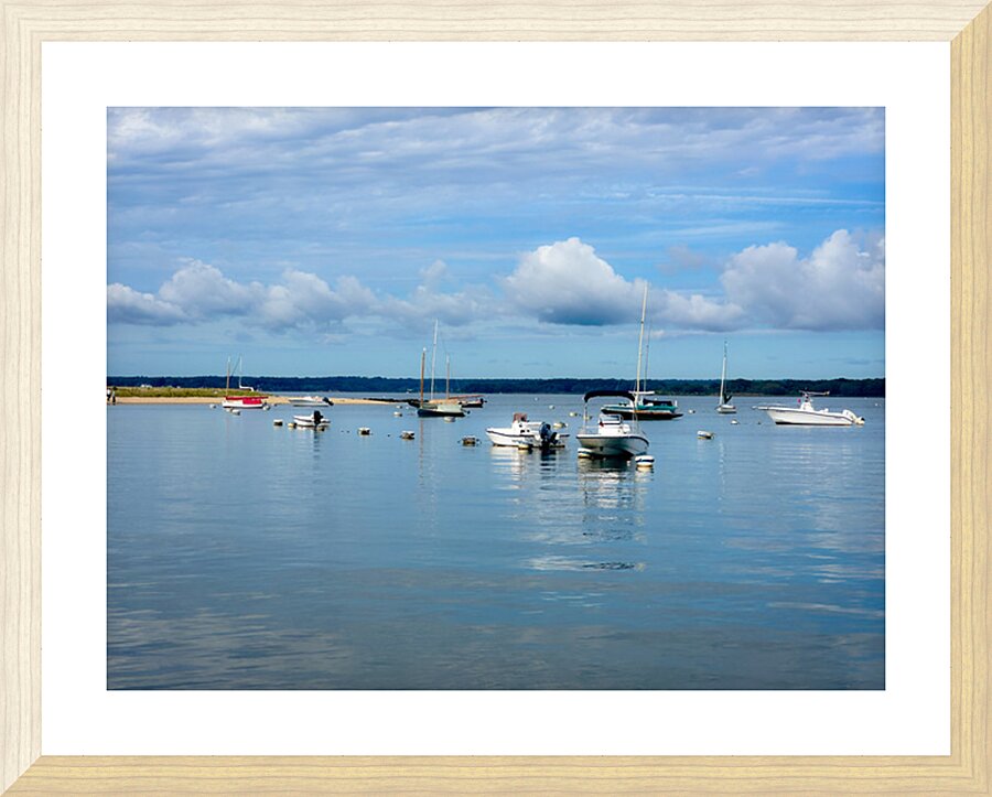 IMG 1621 Picture Frame print
