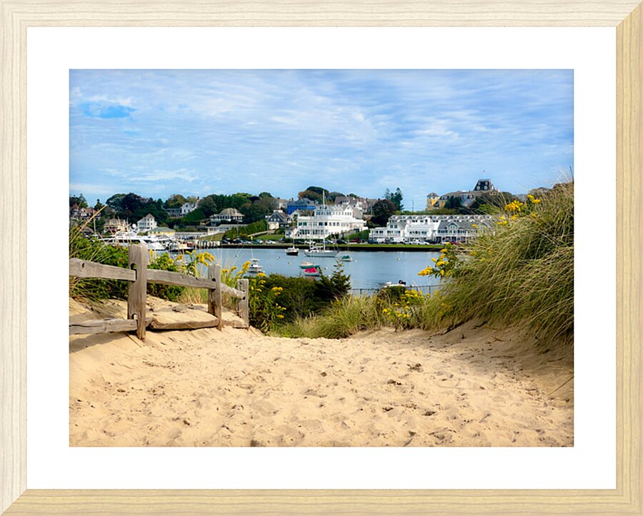 IMG 1647 Picture Frame print