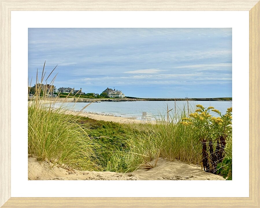 IMG 1641 Picture Frame print