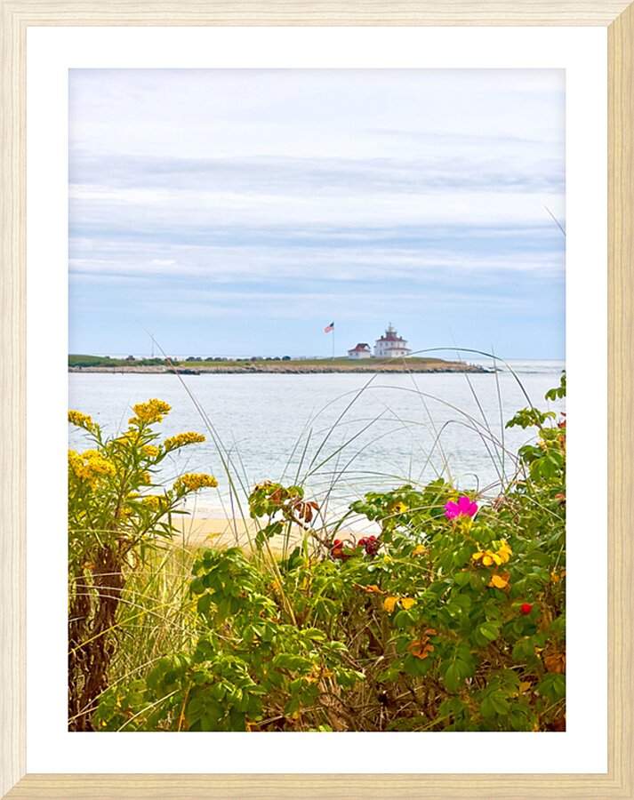 IMG 1643 Picture Frame print