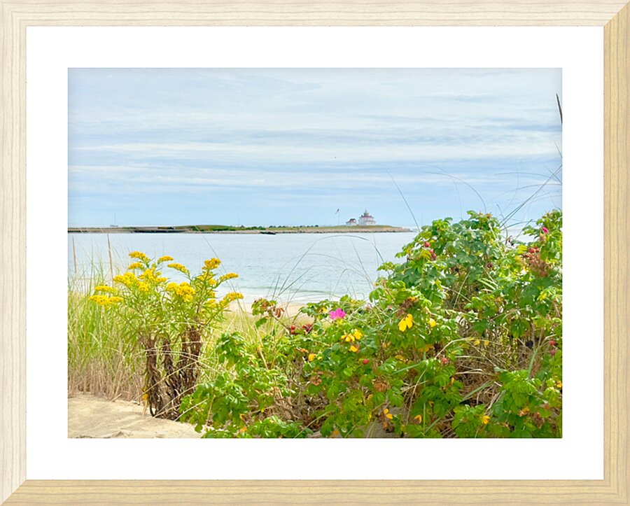 IMG 1642 Picture Frame print