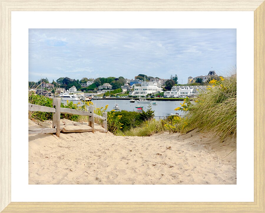 IMG 1646 Picture Frame print