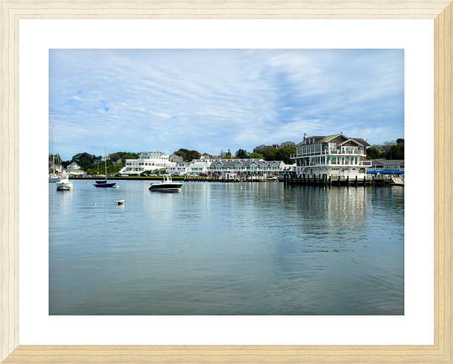 IMG 1623 Picture Frame print