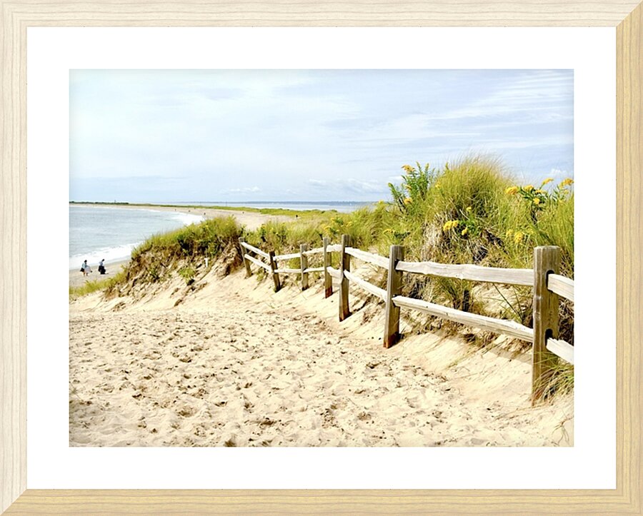 IMG 1632 Picture Frame print