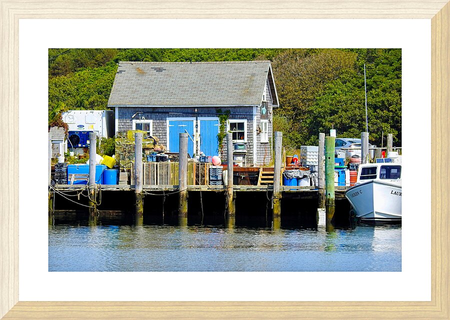 DSCN7525 Picture Frame print