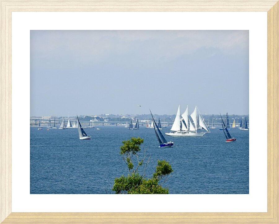 DSCN7060 Picture Frame print