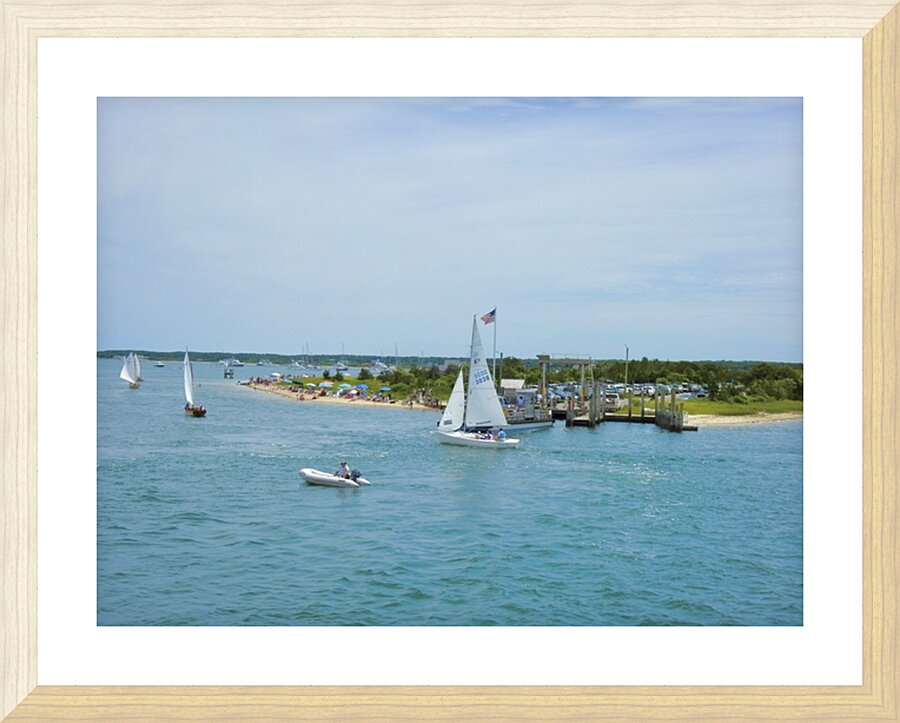 DSCN7183 Picture Frame print