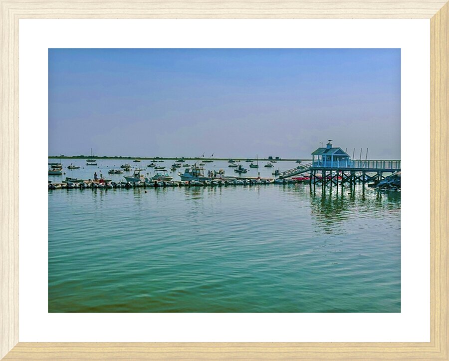 IMG 9324 Picture Frame print
