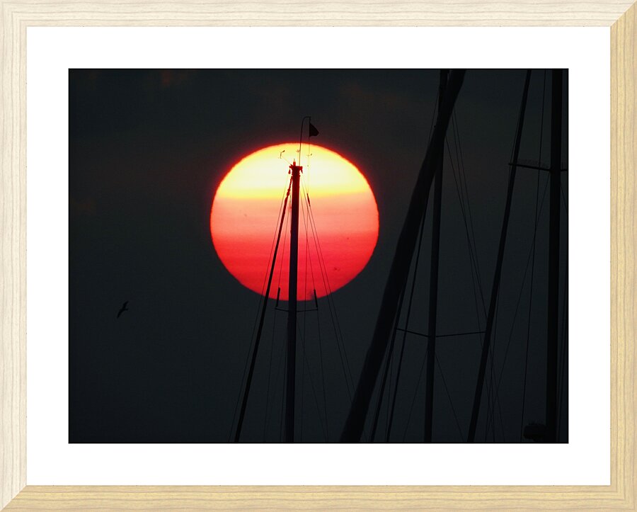 DSCN7385 Picture Frame print