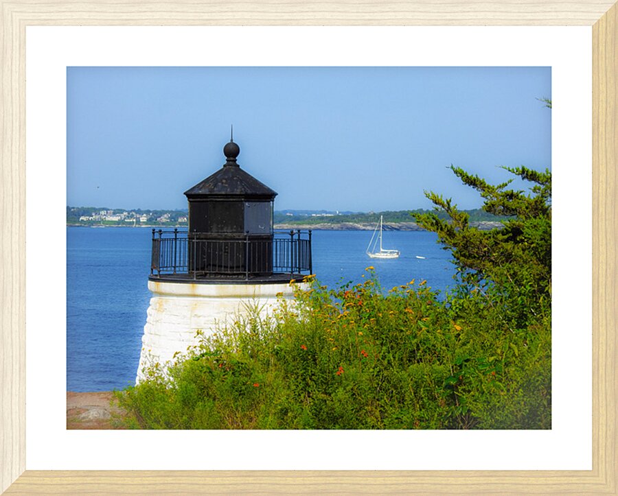 DSCN7443 Picture Frame print