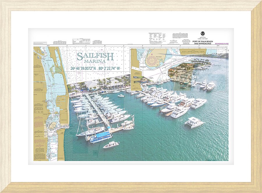 SailFish Marina Picture Frame print