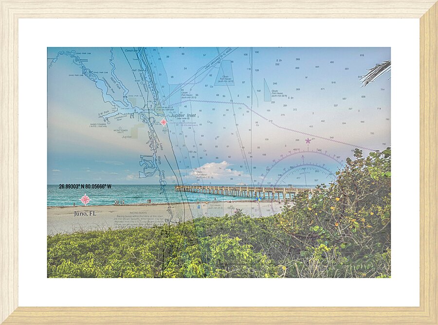 Juno Pier II Picture Frame print
