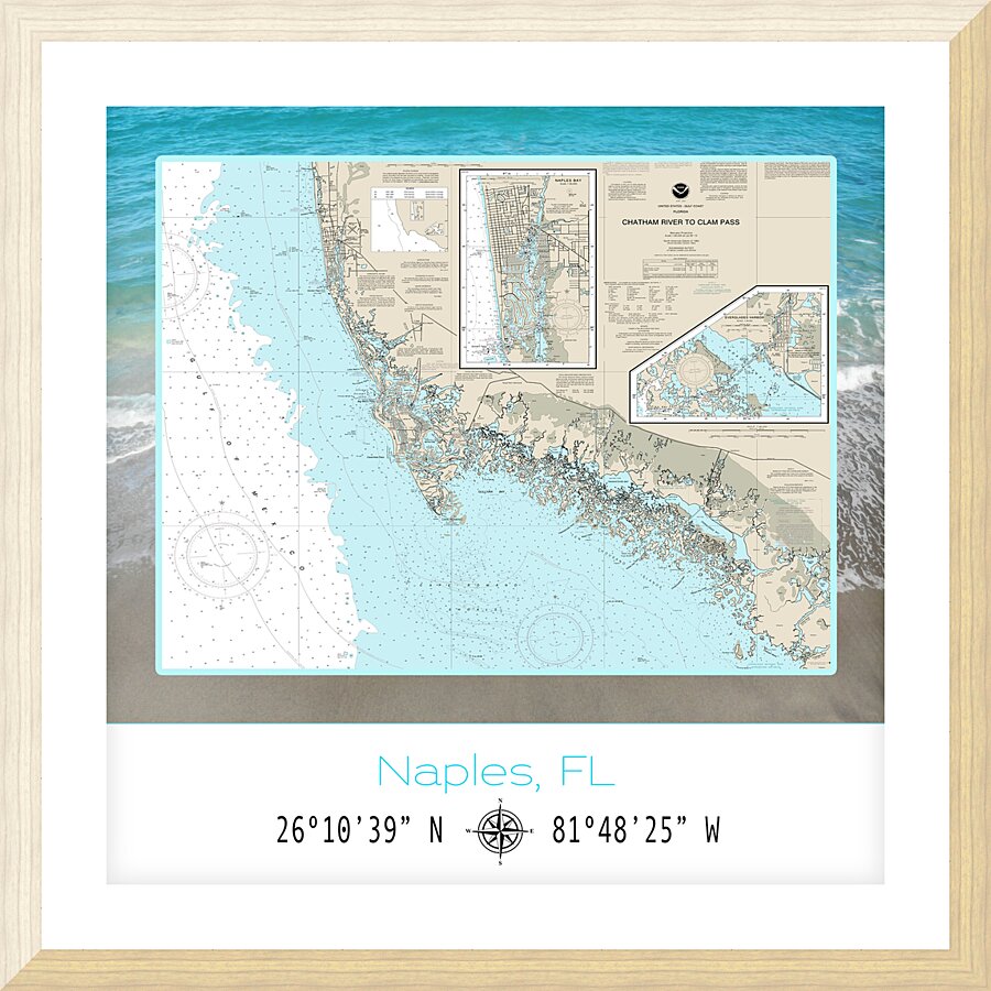 Naples Florida  I Picture Frame print