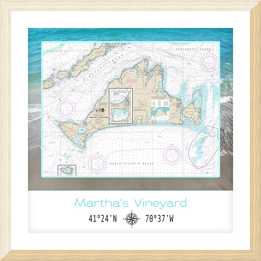 Marthas Vineyard VIII Picture Frame print