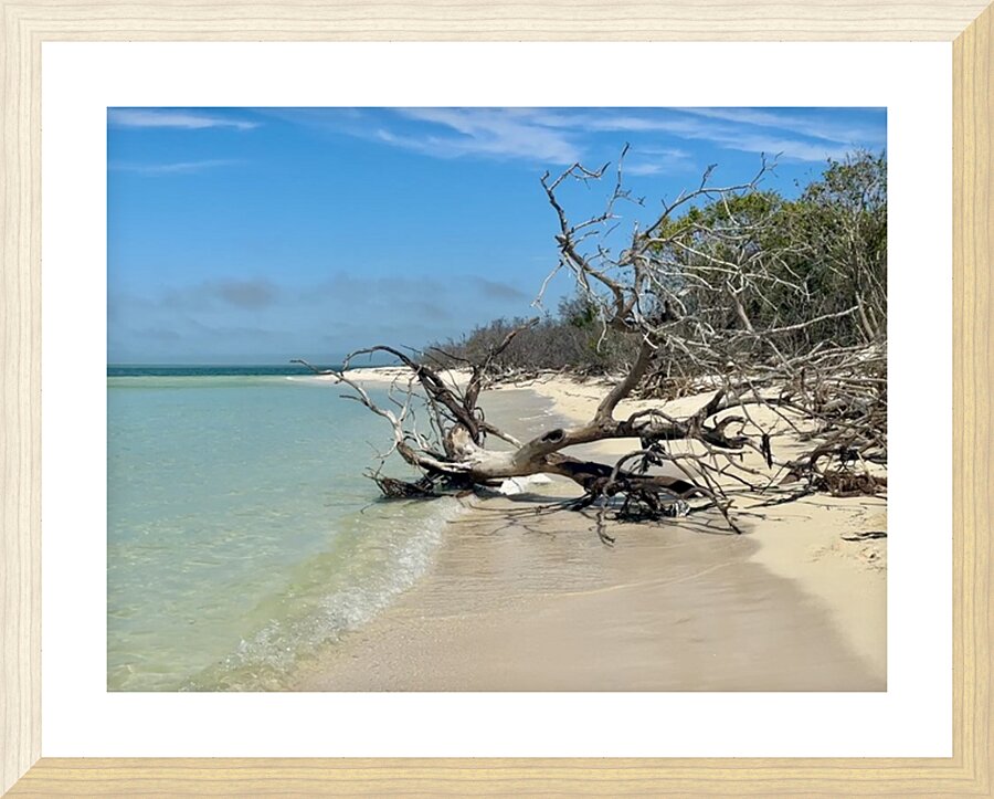 Boca Grande FL III Picture Frame print