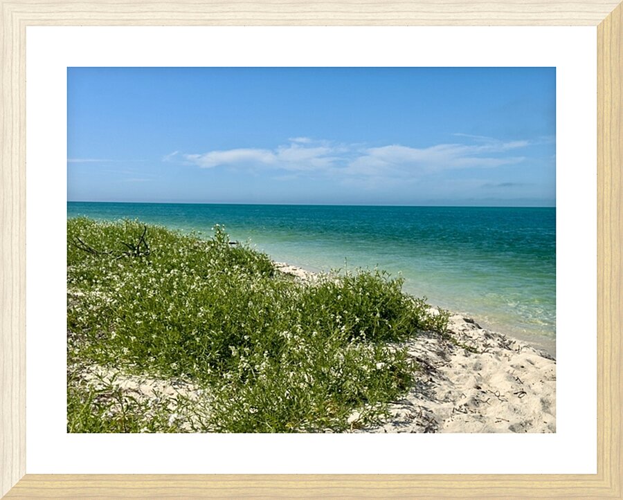 Boca Grande FL Picture Frame print