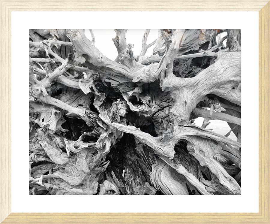 Drift Wood Picture Frame print