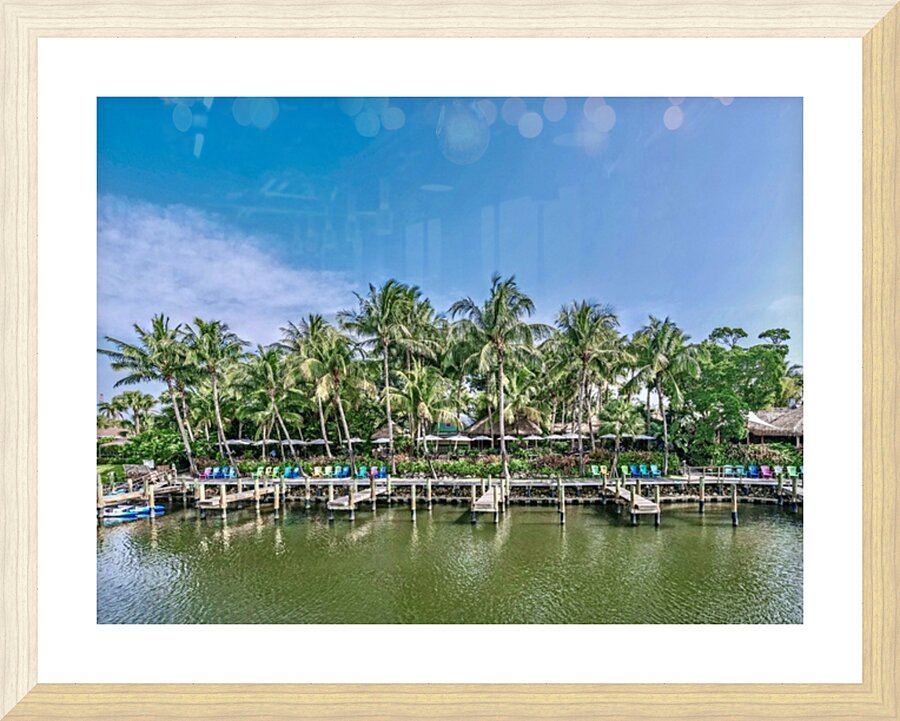 Guanabanas  Picture Frame print