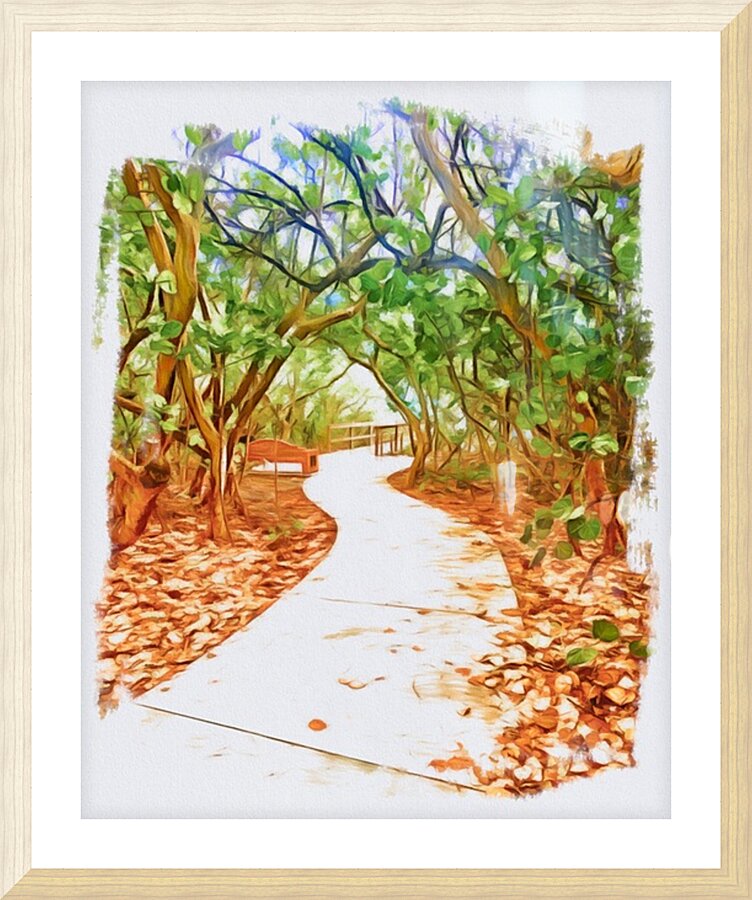 Beach Access 18 Picture Frame print