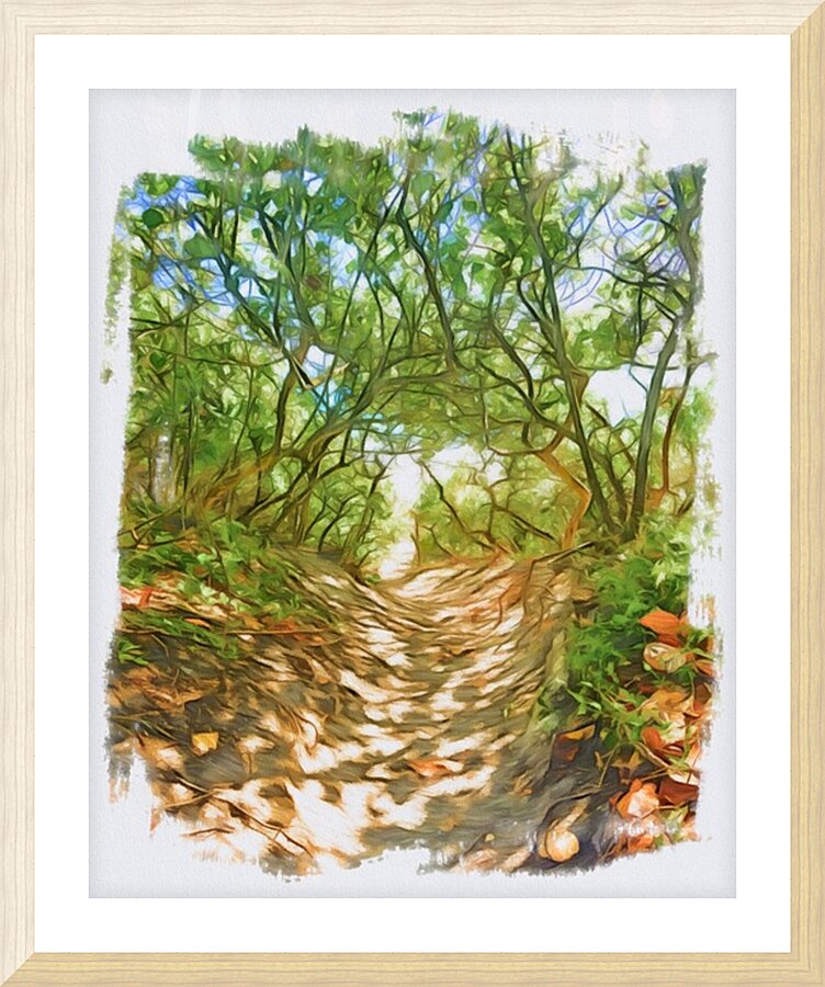 Beach Access 34 Picture Frame print