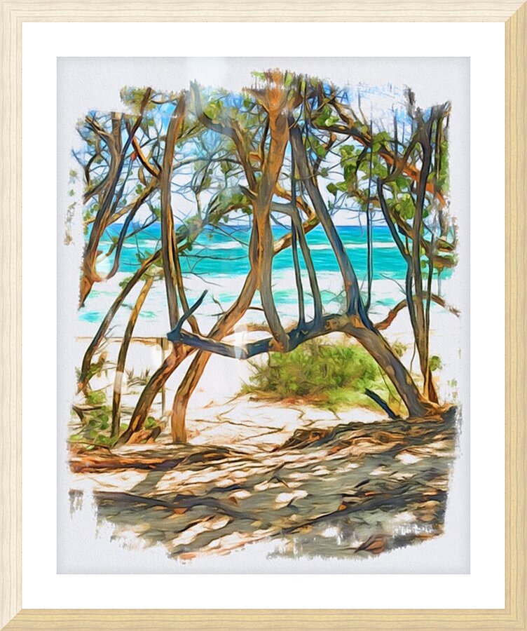 Beach Access 38 Picture Frame print
