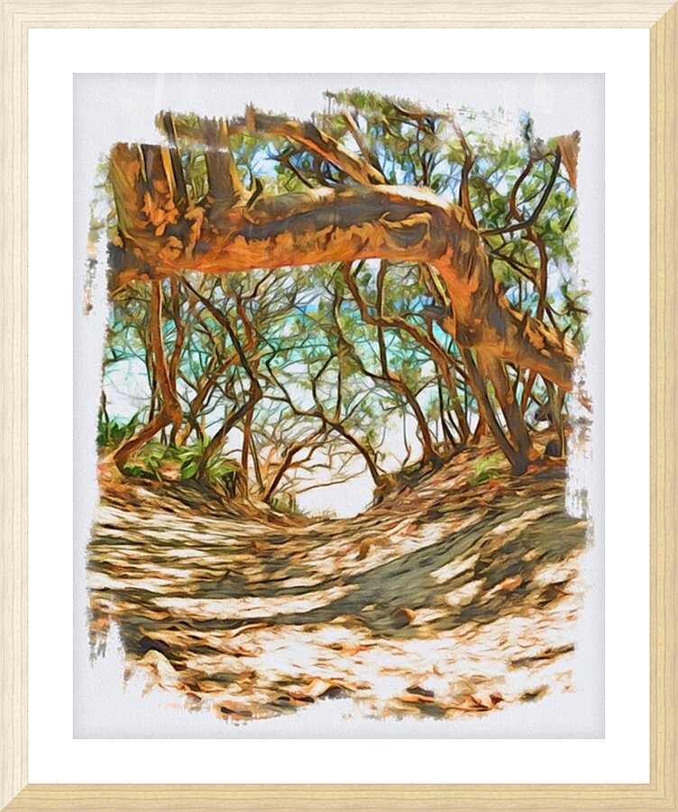 Beach Access 37 Picture Frame print