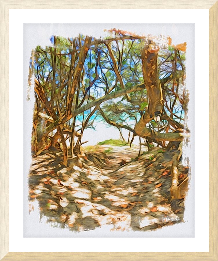 Beach Access 39 Picture Frame print